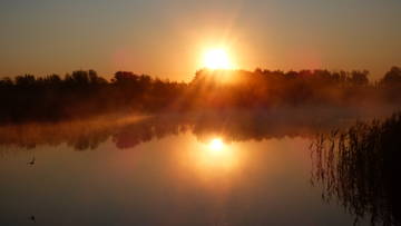 http://upforme.ru/uploads/0002/f9/2d/3073/t516458.jpg