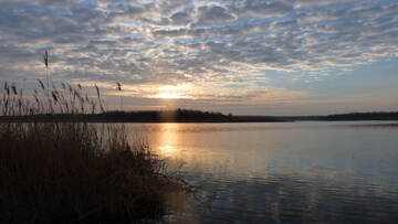 http://upforme.ru/uploads/0002/f9/2d/3073/t619232.jpg