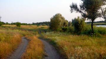 http://upforme.ru/uploads/0002/f9/2d/3073/t86874.jpg