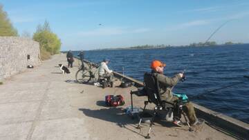 http://upforme.ru/uploads/0002/f9/2d/4013/t836085.jpg
