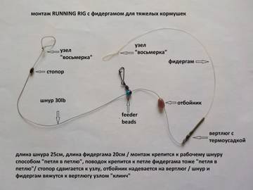 http://upforme.ru/uploads/0002/f9/2d/4286/t86926.jpg
