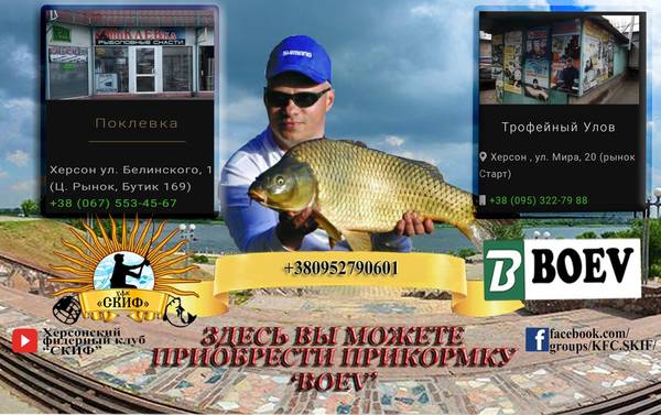http://upforme.ru/uploads/0002/f9/2d/6906/t50912.jpg