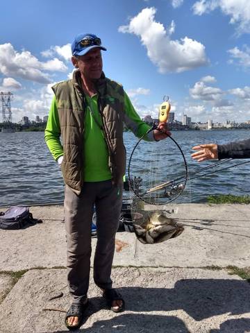 http://upforme.ru/uploads/0002/f9/2d/7218/t554012.jpg