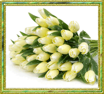 http://upforme.ru/uploads/0003/02/3c/51/t590140.gif