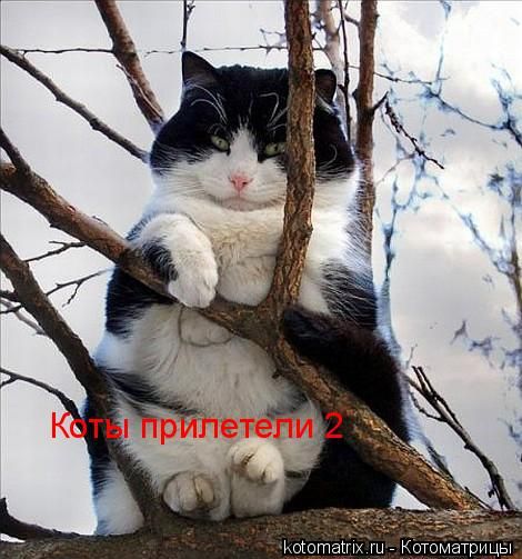 http://upforme.ru/uploads/0003/1c/7f/2020-1-f.jpg