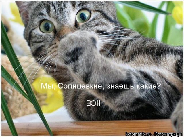 http://upforme.ru/uploads/0003/1c/7f/2020-2-f.jpg