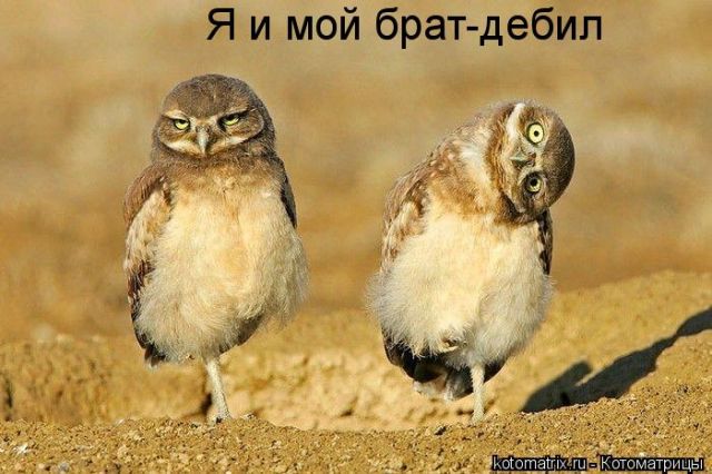 http://upforme.ru/uploads/0003/1c/7f/2292-3-f.jpg