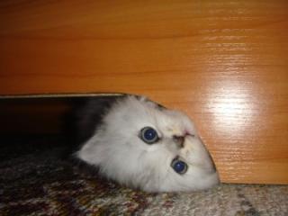 http://upforme.ru/uploads/0003/67/1c/111568-3.jpg