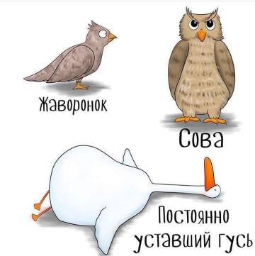 http://upforme.ru/uploads/0003/67/b4/40/t525821.jpg