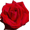http://upforme.ru/uploads/0003/8e/51/1-4.png