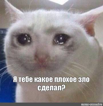 http://upforme.ru/uploads/0003/9a/4f/980/t808956.jpg