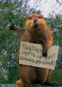 http://upforme.ru/uploads/0003/a3/4d/1340-3-f.jpg
