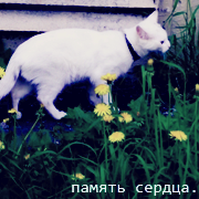 http://upforme.ru/uploads/0003/be/6a/155791-5.png