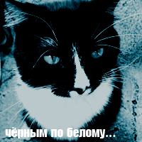 http://upforme.ru/uploads/0003/be/6a/155792-1.png