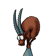 http://upforme.ru/uploads/0003/e6/e2/13446-1.gif
