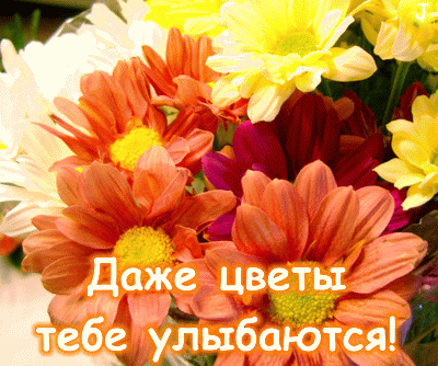 http://upforme.ru/uploads/0003/e6/e2/14722-3-f.gif
