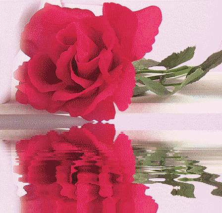 http://upforme.ru/uploads/0003/e6/e2/14956-2-f.gif