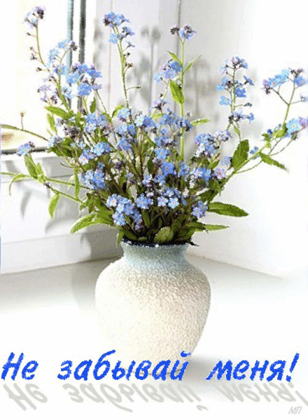 http://upforme.ru/uploads/0003/e6/e2/16186-2-f.gif