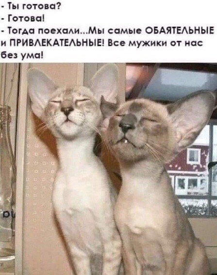 http://upforme.ru/uploads/0004/02/e8/1734/t10336.jpg