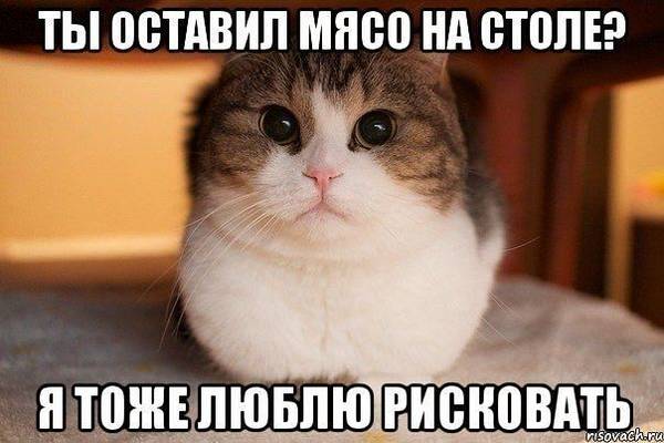 http://upforme.ru/uploads/0004/02/e8/1734/t10344.jpg