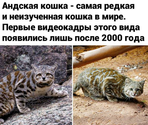 http://upforme.ru/uploads/0004/02/e8/1734/t104702.jpg