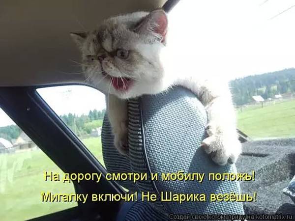 http://upforme.ru/uploads/0004/02/e8/1734/t115886.jpg