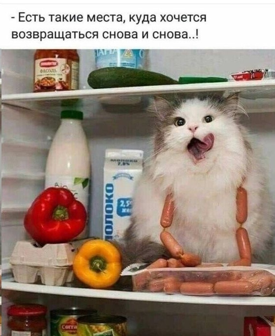 http://upforme.ru/uploads/0004/02/e8/1734/t119173.jpg