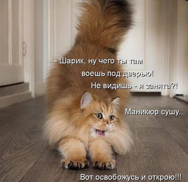 http://upforme.ru/uploads/0004/02/e8/1734/t120378.jpg