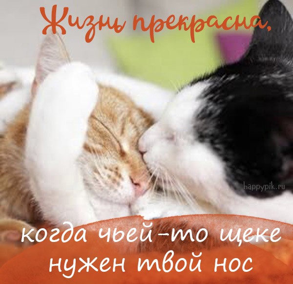 http://upforme.ru/uploads/0004/02/e8/1734/t128124.jpg