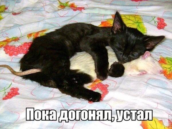 http://upforme.ru/uploads/0004/02/e8/1734/t13101.jpg