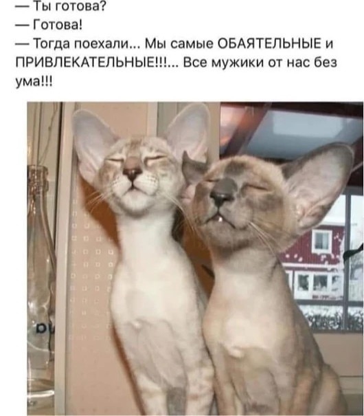 http://upforme.ru/uploads/0004/02/e8/1734/t134256.jpg
