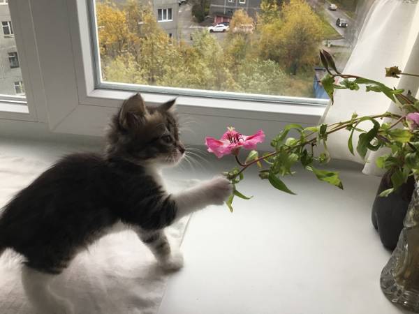 http://upforme.ru/uploads/0004/02/e8/1734/t136214.jpg