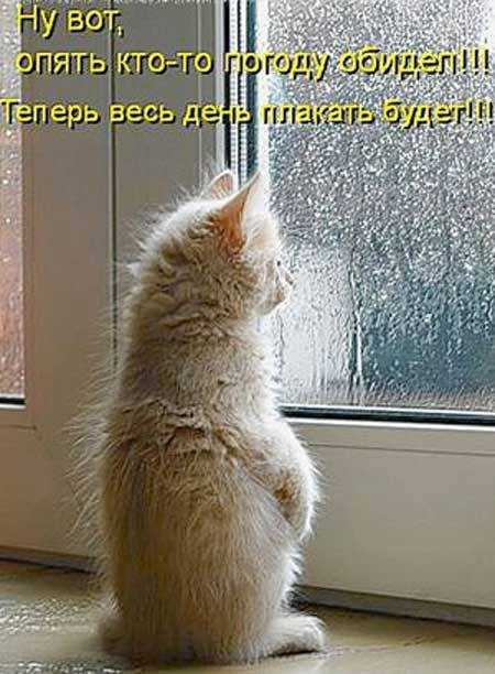http://upforme.ru/uploads/0004/02/e8/1734/t137062.jpg