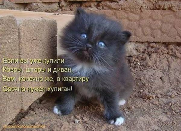 http://upforme.ru/uploads/0004/02/e8/1734/t14182.jpg