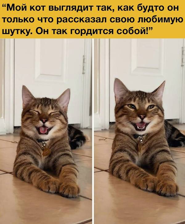 http://upforme.ru/uploads/0004/02/e8/1734/t14198.jpg