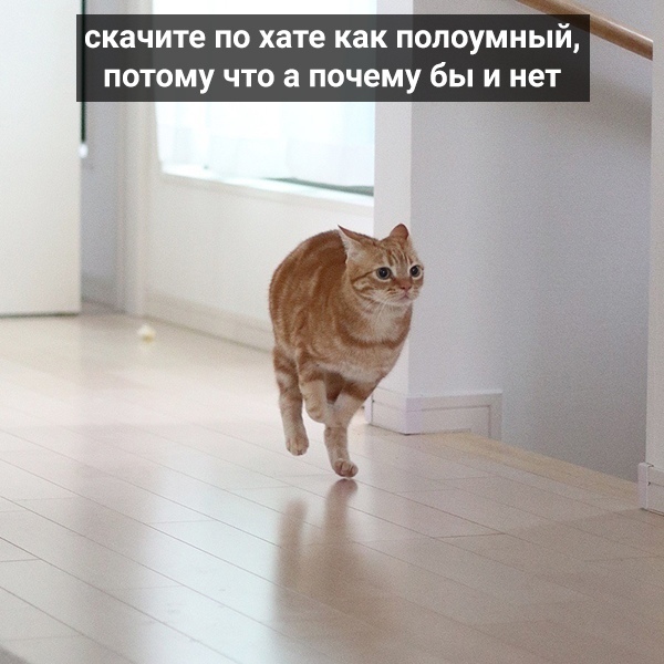 http://upforme.ru/uploads/0004/02/e8/1734/t15117.jpg