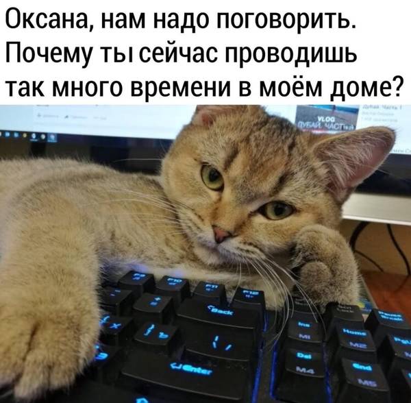 http://upforme.ru/uploads/0004/02/e8/1734/t151710.jpg