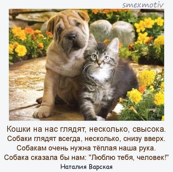http://upforme.ru/uploads/0004/02/e8/1734/t15317.jpg