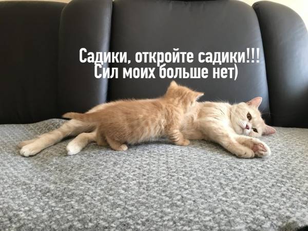 http://upforme.ru/uploads/0004/02/e8/1734/t153268.jpg
