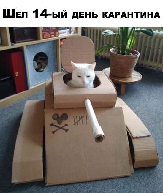http://upforme.ru/uploads/0004/02/e8/1734/t154335.jpg