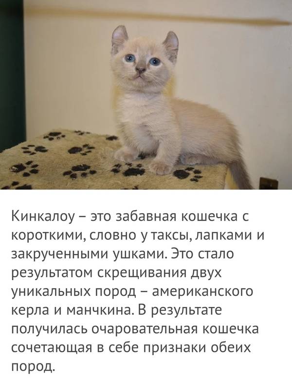 http://upforme.ru/uploads/0004/02/e8/1734/t156241.jpg