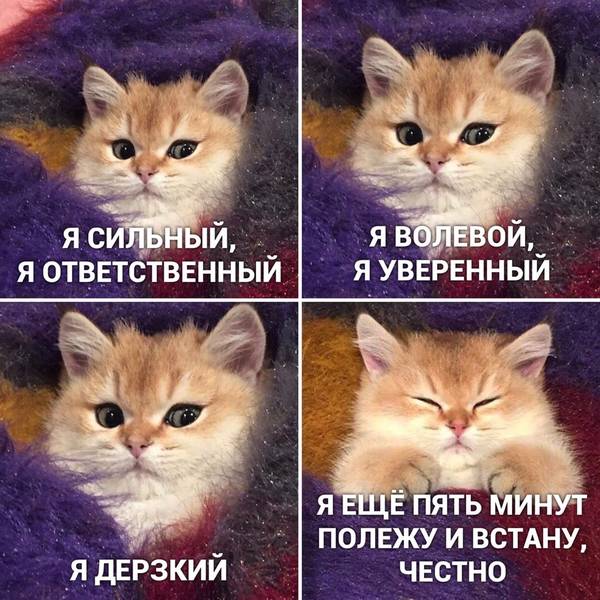 http://upforme.ru/uploads/0004/02/e8/1734/t16039.jpg