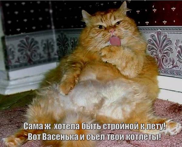 http://upforme.ru/uploads/0004/02/e8/1734/t16199.jpg
