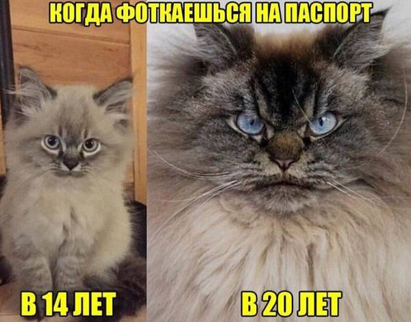 http://upforme.ru/uploads/0004/02/e8/1734/t16276.jpg