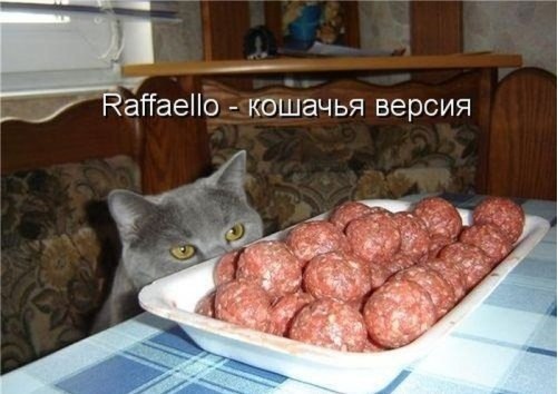 http://upforme.ru/uploads/0004/02/e8/1734/t16351.jpg