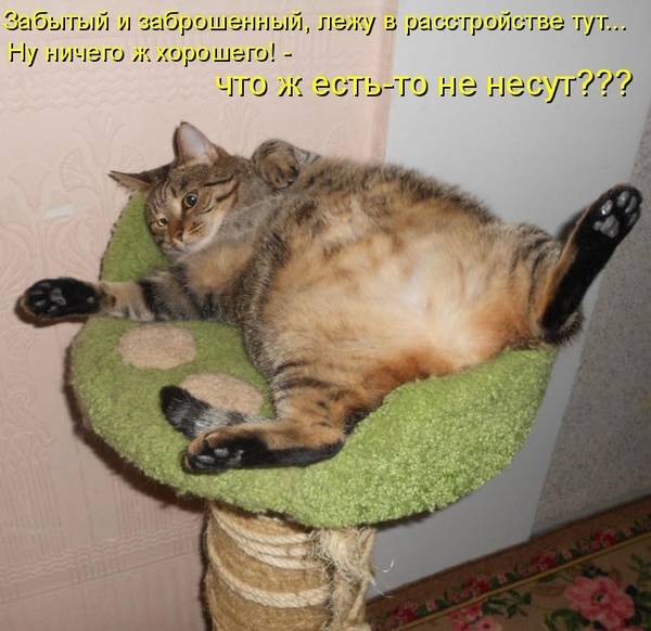 http://upforme.ru/uploads/0004/02/e8/1734/t176067.jpg
