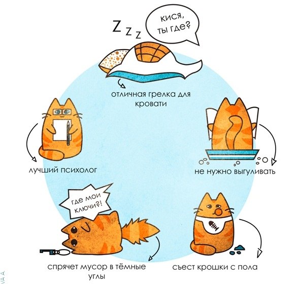 http://upforme.ru/uploads/0004/02/e8/1734/t178036.jpg
