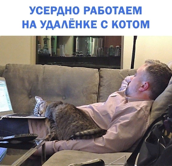 http://upforme.ru/uploads/0004/02/e8/1734/t17914.jpg