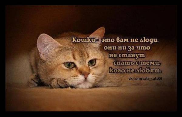 http://upforme.ru/uploads/0004/02/e8/1734/t179492.jpg