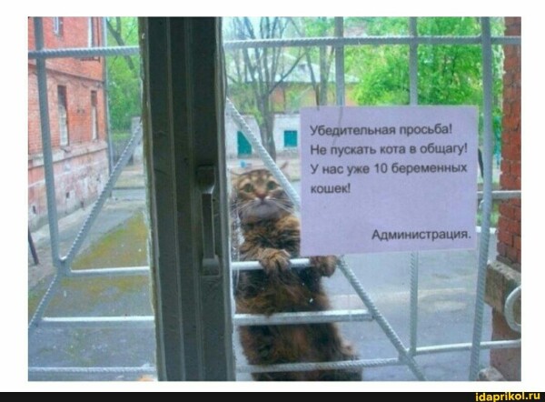 http://upforme.ru/uploads/0004/02/e8/1734/t195039.jpg